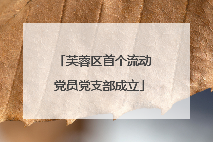 芙蓉区首个流动党员党支部成立