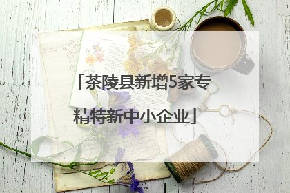 茶陵县新增5家专精特新中小企业