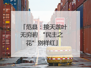 范县：接天莲叶无穷碧 “民主之花”别样红