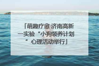 萌趣疗愈 济南高新一实验“小狗领养计划”心理活动举行