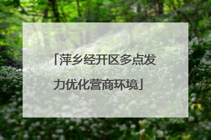 萍乡经开区多点发力优化营商环境