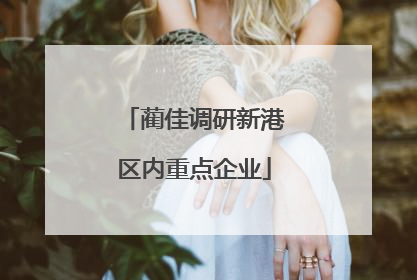 蔺佳调研新港区内重点企业