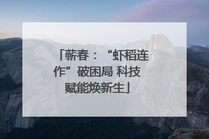 蕲春：“虾稻连作”破困局 科技赋能焕新生