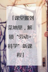 课堂搬到菜地里，解锁“劳动+科学”新课程