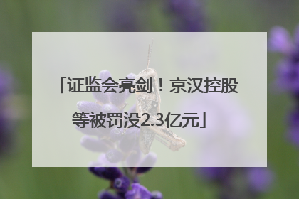 证监会亮剑！京汉控股等被罚没2.3亿元