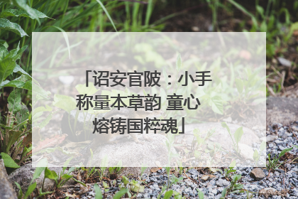 诏安官陂：小手称量本草韵 童心熔铸国粹魂