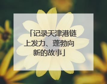 记录天津港链上发力、蓬勃向新的故事