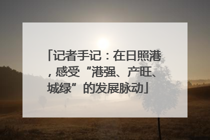 记者手记：在日照港，感受“港强、产旺、城绿”的发展脉动