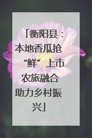 衡阳县：本地香瓜抢“鲜”上市 农旅融合助力乡村振兴