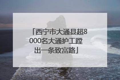 西宁市大通县超8000名大通护工蹚出一条致富路