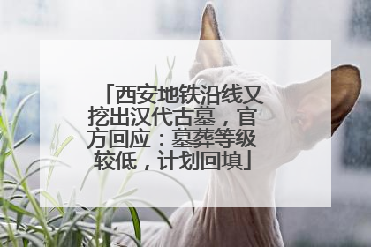 西安地铁沿线又挖出汉代古墓，官方回应：墓葬等级较低，计划回填