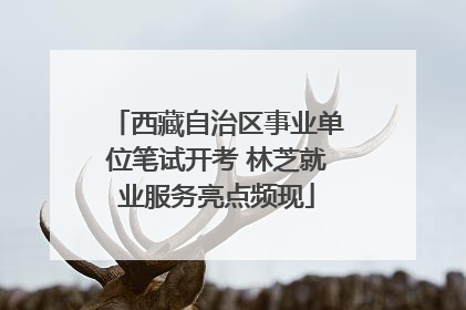 西藏自治区事业单位笔试开考 林芝就业服务亮点频现