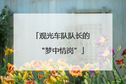 观光车队队长的“梦中情岗”