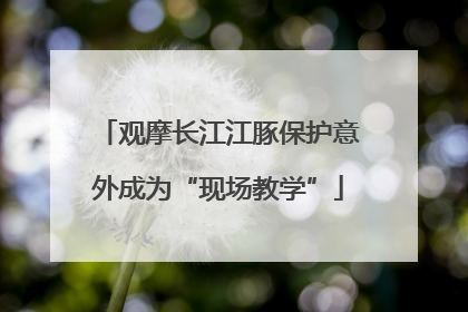 观摩长江江豚保护意外成为“现场教学”