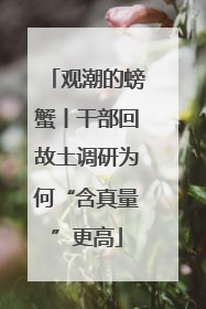 观潮的螃蟹丨干部回故土调研为何“含真量”更高