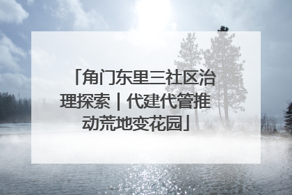 角门东里三社区治理探索｜代建代管推动荒地变花园