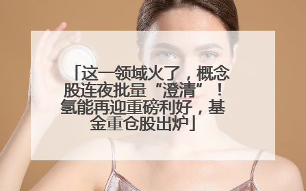 这一领域火了，概念股连夜批量“澄清”！氢能再迎重磅利好，基金重仓股出炉