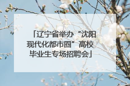 辽宁省举办“沈阳现代化都市圈”高校毕业生专场招聘会