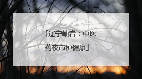 辽宁岫岩：中医药夜市护健康