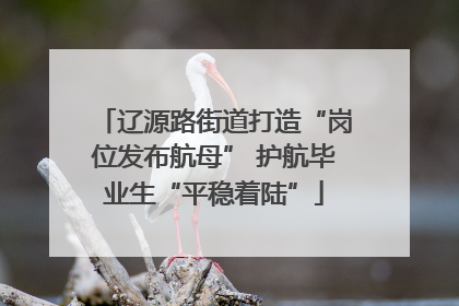 辽源路街道打造“岗位发布航母” 护航毕业生“平稳着陆”