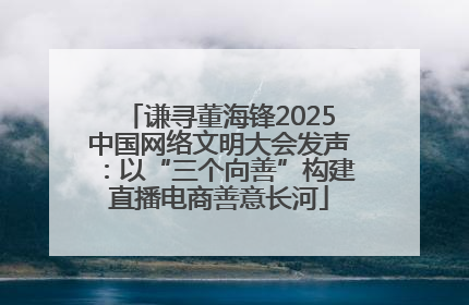 谦寻董海锋2025中国网络文明大会发声：以“三个向善”构建直播电商善意长河