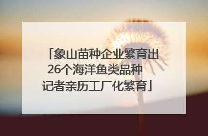 象山苗种企业繁育出26个海洋鱼类品种 记者亲历工厂化繁育