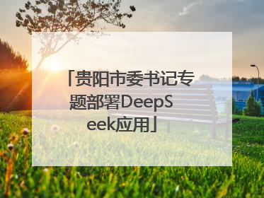 贵阳市委书记专题部署DeepSeek应用