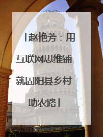 赵艳芳：用互联网思维铺就固阳县乡村助农路