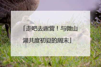 走吧去露营！与微山湖共度初夏的周末