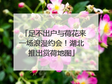 足不出户与荷花来一场浪漫约会！湖北推出赏荷地图