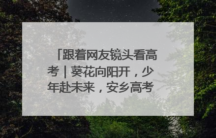 跟着网友镜头看高考｜葵花向阳开，少年赴未来，安乡高考首日的希望图景