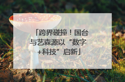跨界碰撞！国台与艺森源以“数字+科技”启新