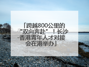 跨越800公里的“双向奔赴”！长沙-香港青年人才对接会在港举办