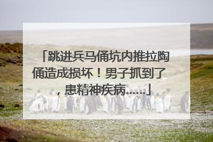 跳进兵马俑坑内推拉陶俑造成损坏！男子抓到了，患精神疾病……