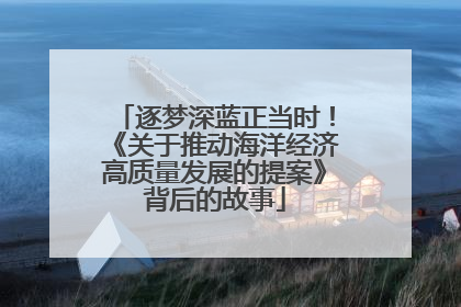 逐梦深蓝正当时！《关于推动海洋经济高质量发展的提案》背后的故事