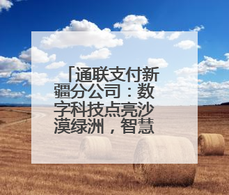 通联支付新疆分公司：数字科技点亮沙漠绿洲，智慧物业焕新万家生活