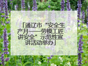 通辽市“安全生产月——劳模工匠讲安全”示范性宣讲活动举办