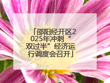 邵阳经开区2025年冲刺“双过半”经济运行调度会召开