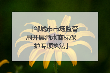邹城市市场监管局开展酒水商标保护专项执法