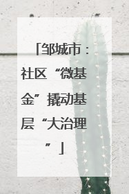 邹城市：社区“微基金”撬动基层“大治理”