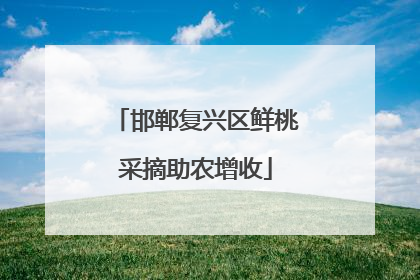 邯郸复兴区鲜桃采摘助农增收