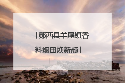 郧西县羊尾镇香料烟田焕新颜