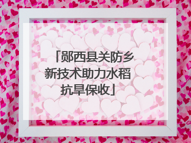 郧西县关防乡新技术助力水稻抗旱保收