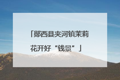 郧西县夹河镇茉莉花开好“钱景”