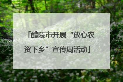 醴陵市开展“放心农资下乡”宣传周活动