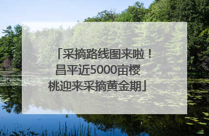 采摘路线图来啦！昌平近5000亩樱桃迎来采摘黄金期