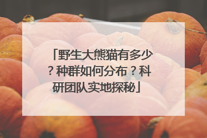 野生大熊猫有多少？种群如何分布？科研团队实地探秘
