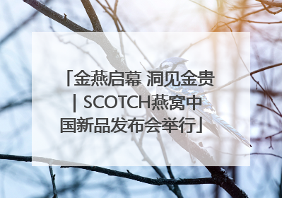 金燕启幕 洞见金贵｜SCOTCH燕窝中国新品发布会举行
