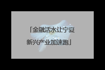 金融活水让宁夏新兴产业加速跑