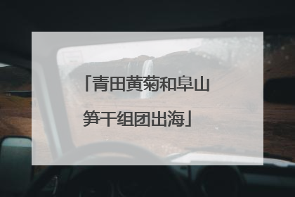 青田黄菊和阜山笋干组团出海